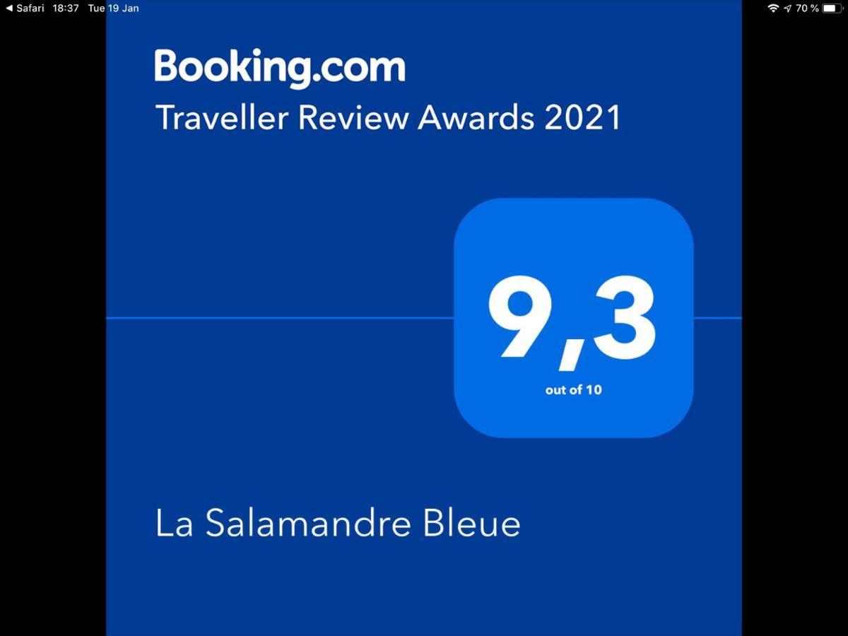 Вилла La Salamandre Bleue Chantemerle-les-Grignan Экстерьер фото